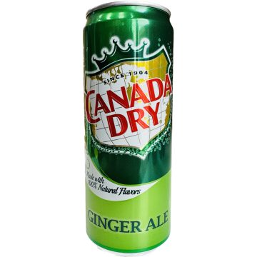 0,33L CAN Canada Dry